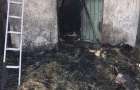 Fire in Mirnograd claimed the life of a six-year-old girl