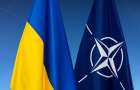 Украина не достигнет стандартов НАТО к 2020 году