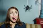 Кто боится пауков, не сидите дома в 19:35
