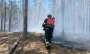 Пожары в Лиманской громаде за сутки уничтожили более 60 га лесной подстилки