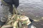 Over this March, poachers of Mariupol caught fish worth 250 thousand UAH