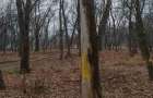 В Славянске срубят более сотни аварийных деревьев