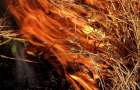 Resident of Mariupol poisoned with carbon monoxide while extinguishing a burnt grass