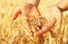 За три года в оффшоры вывели 1,5 миллиарда долларов от продажи украинской пшеницы