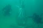 У берегов Флориды появился первый в США подводный музей