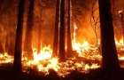 В Украине сохраняется наивысший уровень пожарной опасности
