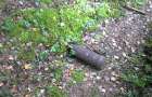На Львовщине нашли три снаряда времен Великой Отечественной войны
