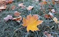 Frosts and the first snow: weather forecast in Ukraine until the end of the week