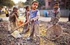 Состоятельные бразильцы защищают детский труд