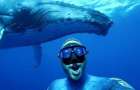 В водах Полинезии дайвер сделал селфи с огромным горбатым китом