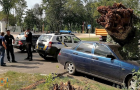 Дерево упало на автомобиль в Покровске