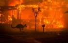 Пожары в Австралии замкнулись в заколдованный круг и уже сами формируют погоду