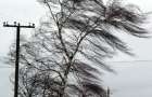 Wind gusts left settlements in eight regions of Ukraine without electricity 