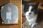 Кошка британского искусствоведа испортила картину XVII века 