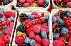 Украина вошла в топ-5 мировых экспортеров фруктов и ягод по объему продукции