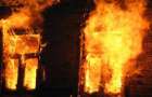 Стало известно, почему сгорел заброшенный дом в Доброполье
