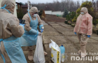 На Луганщине подтверждена вспышка птичьего гриппа: подробности