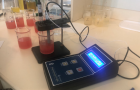Проверка арбузов на нитраты: заключение сертифицированной лаборатории