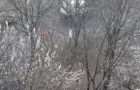 В Ровно выпал апрельский снег