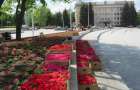 На площади Мира в Краматорске высаживают петунии