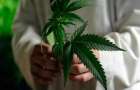 В Канаде вступил в силу закон о легализации марихуаны 