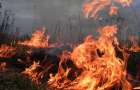 Масштабное возгорание между Константиновкой и Дружковкой: Пожар тушили несколько часов