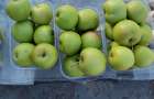 В Константиновке перед Спасом цены на яблоки повысились, а на мед - нет