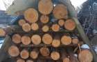 В Константиновке приостановили прием заявлений на получение бесплатных дров