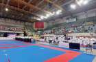 Спортсмены Константиновки стали призерами чемпионата Европы по традиционному каратэ