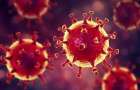 Сколько лет жизни «крадет» коронавирус