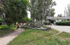 В Константиновке ураган валил деревья и обрывал провода 