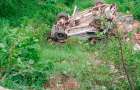В Индии автобус с детьми рухнул в ущелье: семеро погибших