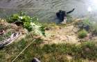 Под Одессой погибли рыбаки: автомобиль сорвался с обрыва в реку