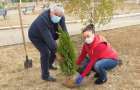 Новую аллею деревьев высадили в Марьинке