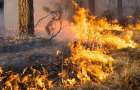 На Донбассе в минувшие выходные случился ряд пожаров