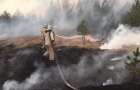 Пожар в Зоне отчуждения удалось потушить — глава Госэкоинспекции