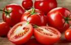 Prices for tomatoes have established a historical anti-record in Ukraine
