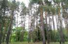 В Северодонецке из-за пожароопасности запретили посещать лес