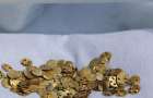 В Казахстане, во время раскопок кургана, обнаружили более 3 тысяч золотых украшений
