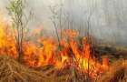 Вокруг Киева увеличилось количество природных пожаров