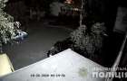 В Мариуполе автомобильного вора зафиксировала камера на «безопасном» доме