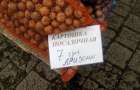 Когда покупать картофель на посадку в Донецкой области