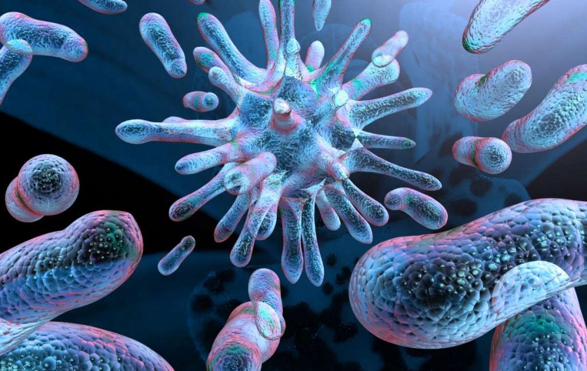 Для новых антибиотиков будут использовать бактерии 