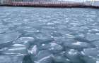 На Азовском море появились «ледяные блины»