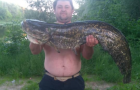 Рыболов опубликовал фото гигантского сома, пойманного под Черниговом