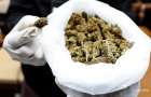 В парламенте Испании обсудят легализацию марихуаны