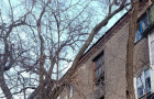 Когда коммунальщики уберут аварийное дерево у дома № 18 по ул. Европейской в Константиновке