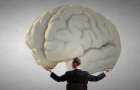 Мозг человека почти на 20% меньше, чем раньше