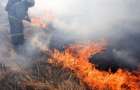 В Украине объявлен высший уровень пожарной опасности