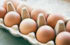 Цены на яйца ненадолго снизились – таможенная статистика